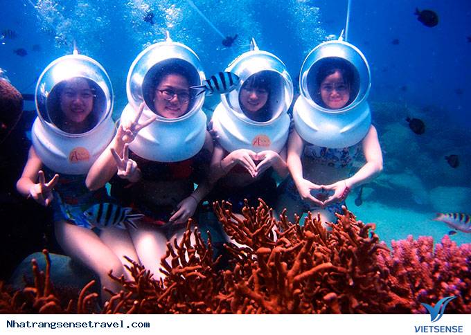 Thông tin về Con Sẻ Tre - Ảnh 3