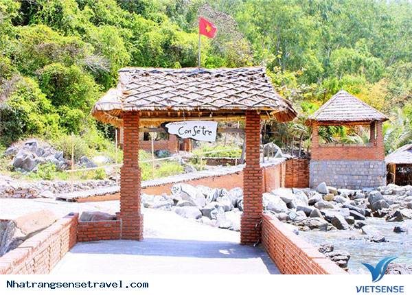 Thông tin về Con Sẻ Tre - Ảnh 4