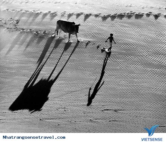 Thông tin về Studio & Gallery Long Thành Art - Ảnh 2