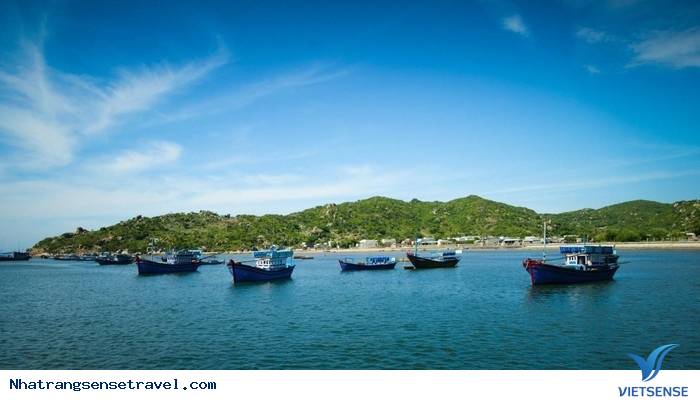 Tìm về Hang Rái – Vĩnh Hy (phần 2) - Ảnh 6 Tìm về Hang Rái – Vĩnh Hy (phần 2) - Ảnh 6