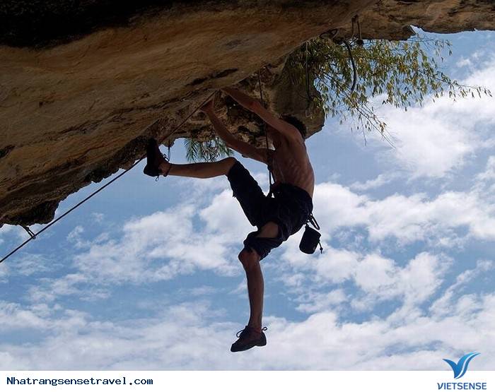 Tìm về Hang Rái – Vĩnh Hy (phần 2) - Ảnh 1 Tìm về Hang Rái – Vĩnh Hy (phần 2) - Ảnh 1