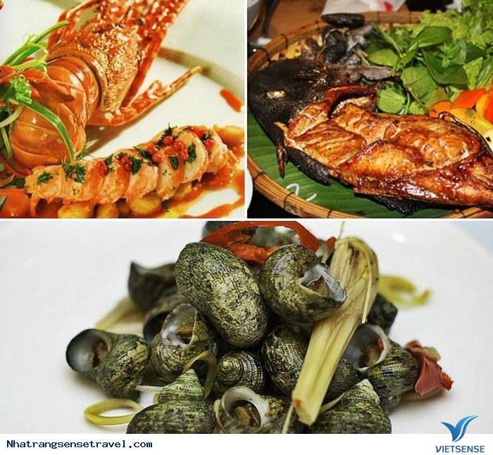 Tìm về Hang Rái – Vĩnh Hy (phần 2) - Ảnh 8 Tìm về Hang Rái – Vĩnh Hy (phần 2) - Ảnh 8