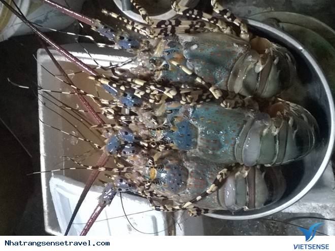 Tôm Hùm Bình Ba Nha Trang 2 - Ảnh 4