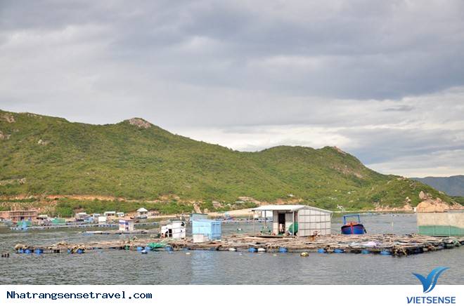 Tôm Hùm Bình Ba Nha Trang 2 - Ảnh 2