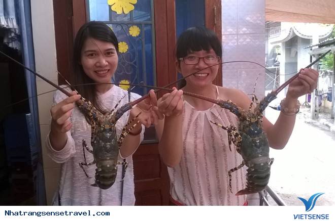 Tôm Hùm Bình Ba Nha Trang 2 - Ảnh 5