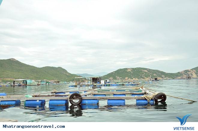 Tôm Hùm Bình Ba Nha Trang 2 - Ảnh 1