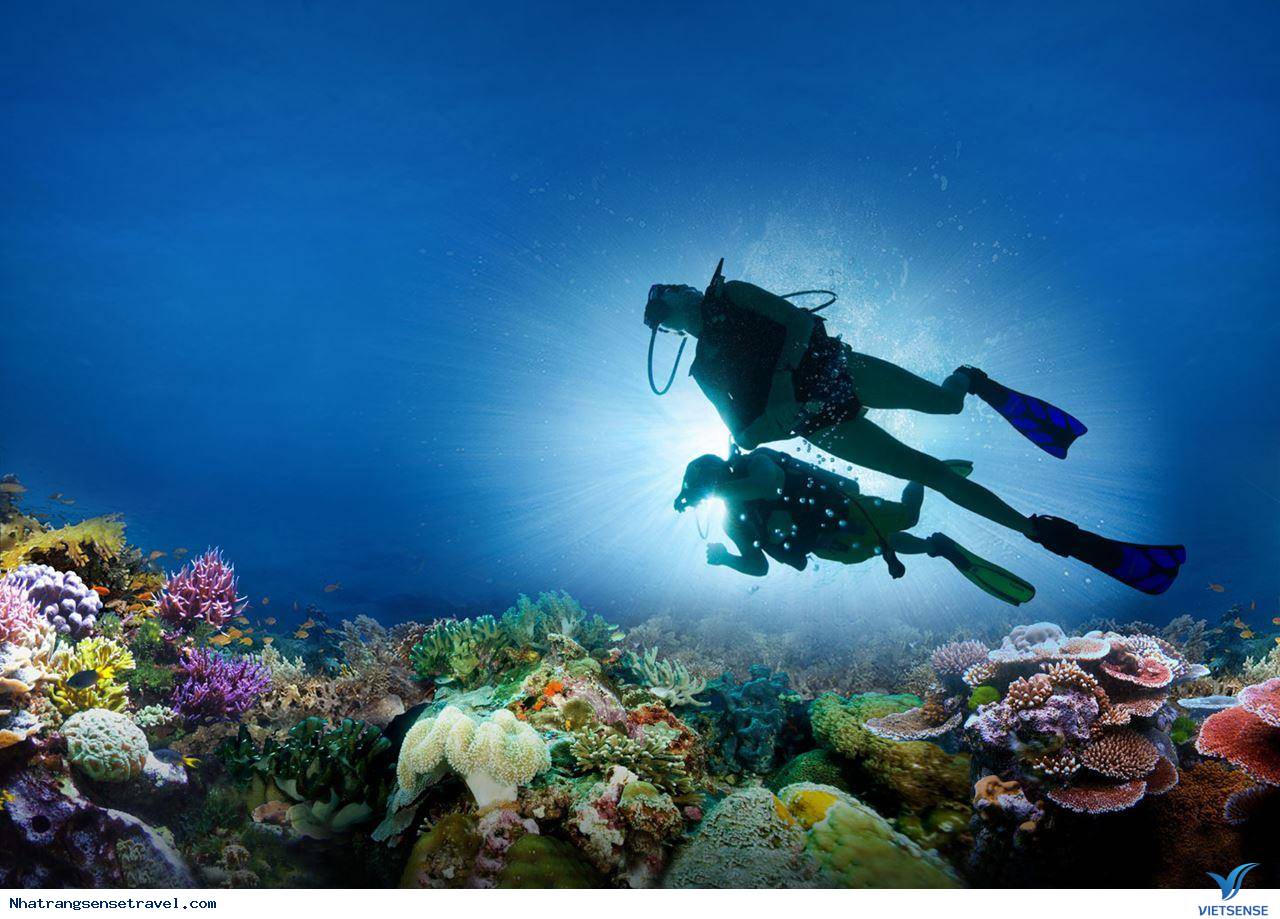 Tổng quan Nha Trang - Ảnh 2