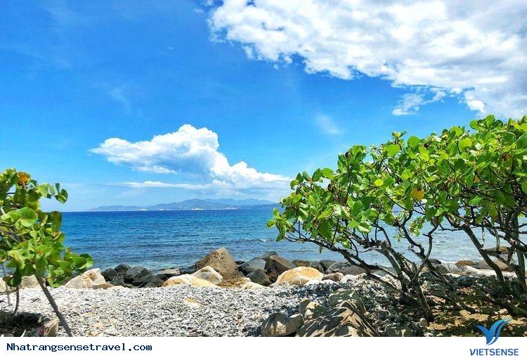 Tổng quan Nha Trang Tổng quan Nha Trang