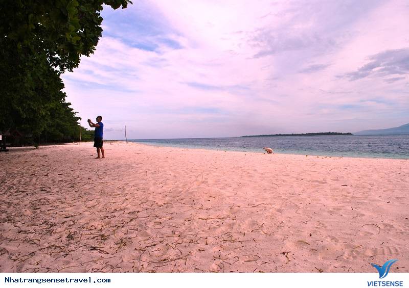 Horseshoe, Bermuda Horseshoe, Bermuda