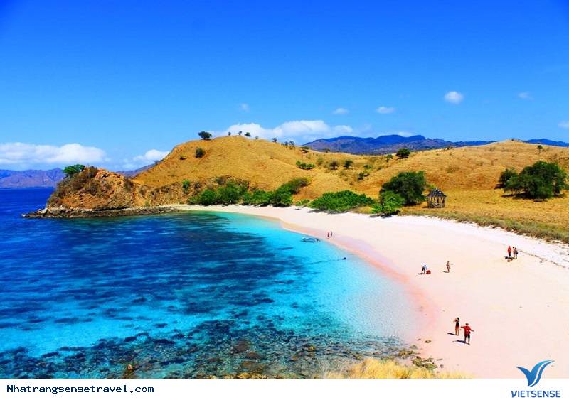 Komodo – Indonesia Komodo – Indonesia