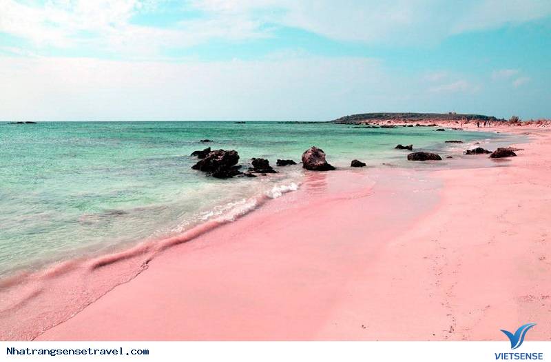 Biển hồng Bonaire – Caribbean Biển hồng Bonaire – Caribbean