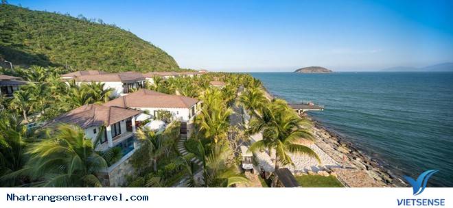 Trải Nghệm Không Khí Đón Giáng Sinh Và Năm Mới Tại Amiana Resort Nha Trang - Ảnh 8