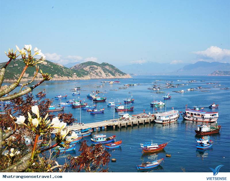 Trải Nghiệm Bình Ba: hành trình Đến Đảo 'Cấm' trải nghiệm - Ảnh 2 Trải Nghiệm Bình Ba: hành trình Đến Đảo 'Cấm' trải nghiệm - Ảnh 2
