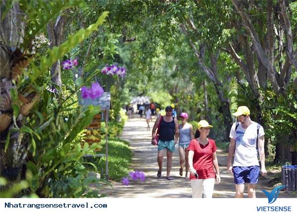 Trải Nghiệm Kỳ Nghỉ Cuối Tuần Thú Vị Tại Nha Phu - Nha Trang - Ảnh 3