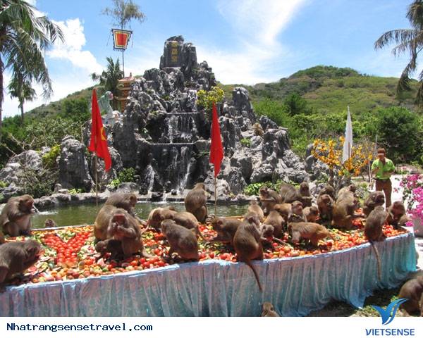 Trải Nghiệm Kỳ Nghỉ Cuối Tuần Thú Vị Tại Nha Phu - Nha Trang - Ảnh 10