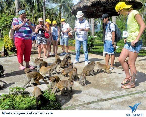 Trải Nghiệm Kỳ Nghỉ Cuối Tuần Thú Vị Tại Nha Phu - Nha Trang - Ảnh 13