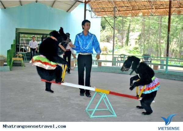 Trải Nghiệm Kỳ Nghỉ Cuối Tuần Thú Vị Tại Nha Phu - Nha Trang - Ảnh 7