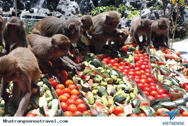 Trải Nghiệm Kỳ Nghỉ Cuối Tuần Thú Vị Tại Nha Phu - Nha Trang - Ảnh 12