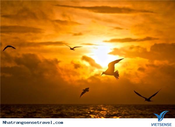 Trải Nghiệm Kỳ Nghỉ Cuối Tuần Thú Vị Tại Nha Phu - Nha Trang - Ảnh 15