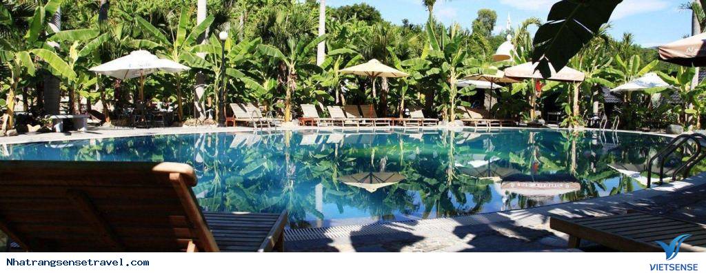 Trải nghiệm tắm bùn Hòn Tằm - Ảnh 1 Trải nghiệm tắm bùn Hòn Tằm - Ảnh 1