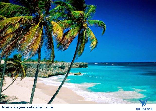 Bãi biển - Ảnh 2