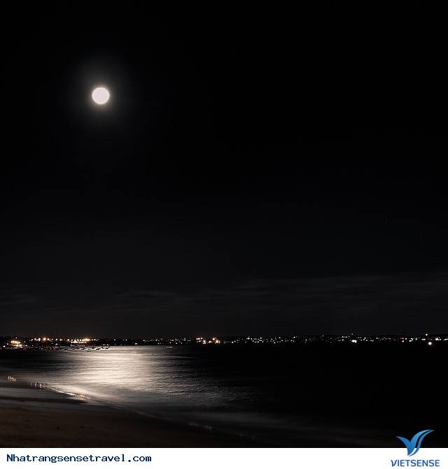 Bãi biển - Ảnh 4