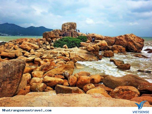 Bãi biển - Ảnh 3