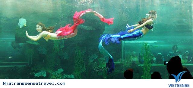 Vinpearl Land Nha Trang - Ảnh 5