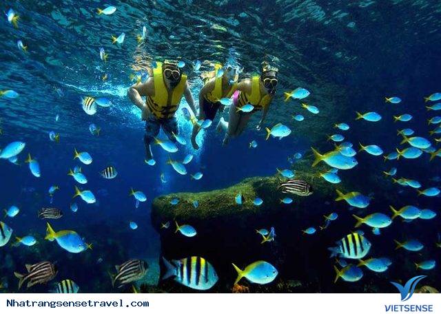 Vinpearl Land Nha Trang - Ảnh 4