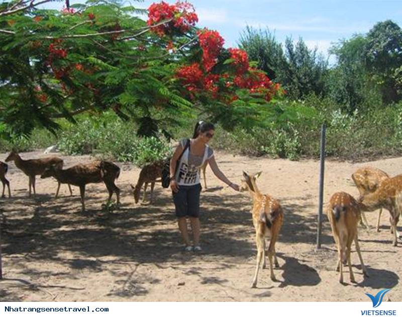 Vẻ đẹp của Hòn Thị - Ảnh 2 Vẻ đẹp của Hòn Thị - Ảnh 2
