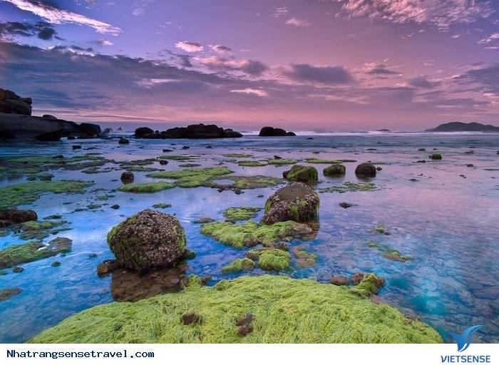 Nơi này đẹp nhất khi nào? - Ảnh 3