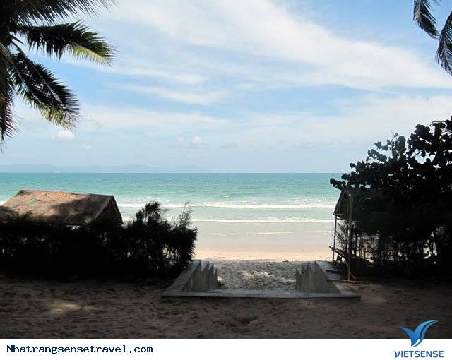 Về Làng Muối Hòn Khói - Thưởng Thức Gỏi Lua - Ảnh 3