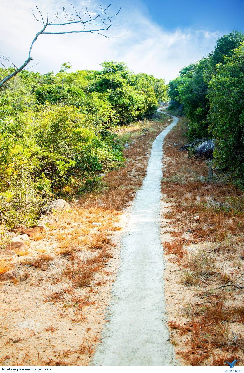 Vinh Nha Trang Êm Đềm Nhìn Từ Ngọn Hải Đăng Hòn Lớn - Ảnh 6