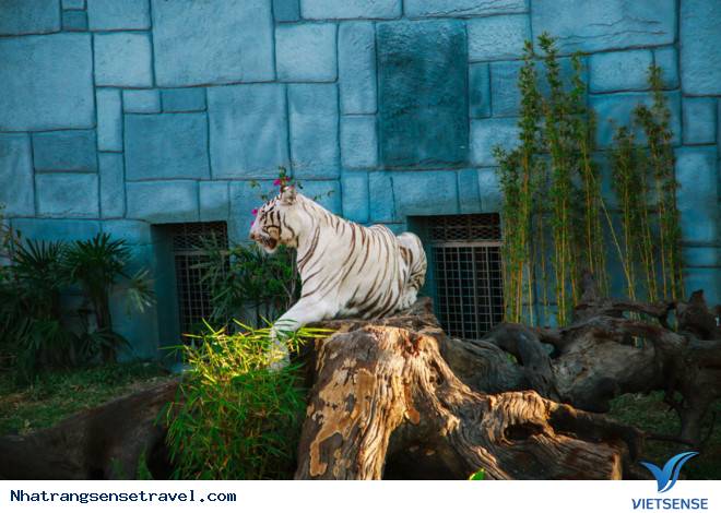 Điểm đến lý tưởng cho mọi lứa tuổi - Ảnh 2