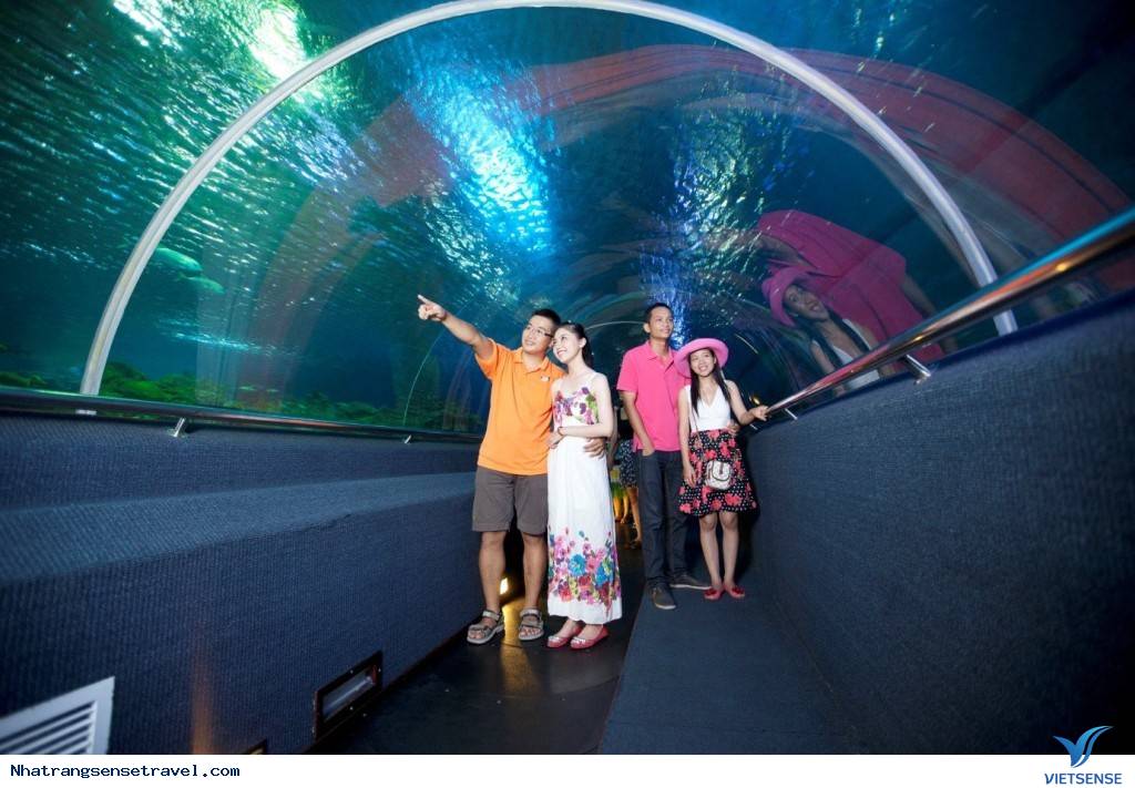 Vinpearl Nha Trang Bay Resort & Villas - Ảnh 11 Vinpearl Nha Trang Bay Resort & Villas - Ảnh 11