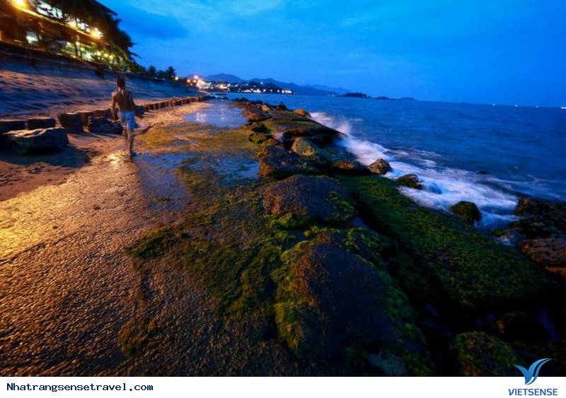 Xanh Kỳ Diệu Bãi Rêu Trên Biển Nha Trang Bắt Mắt khách thăm quan - Ảnh 13