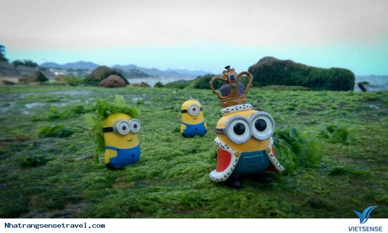 Xanh Kỳ Diệu Bãi Rêu Trên Biển Nha Trang Bắt Mắt khách thăm quan - Ảnh 2