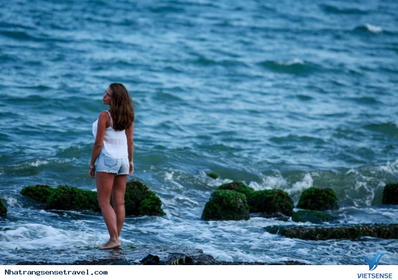 Xanh Kỳ Diệu Bãi Rêu Trên Biển Nha Trang Bắt Mắt khách thăm quan - Ảnh 12